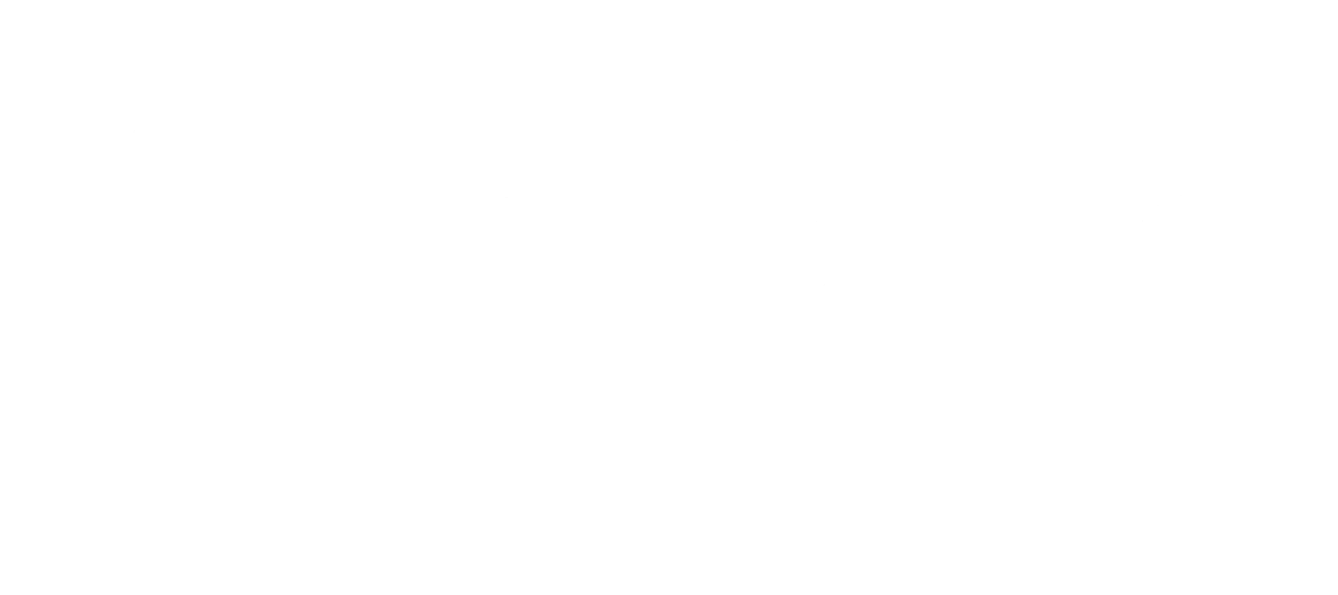 Shurtape Technologies Logo