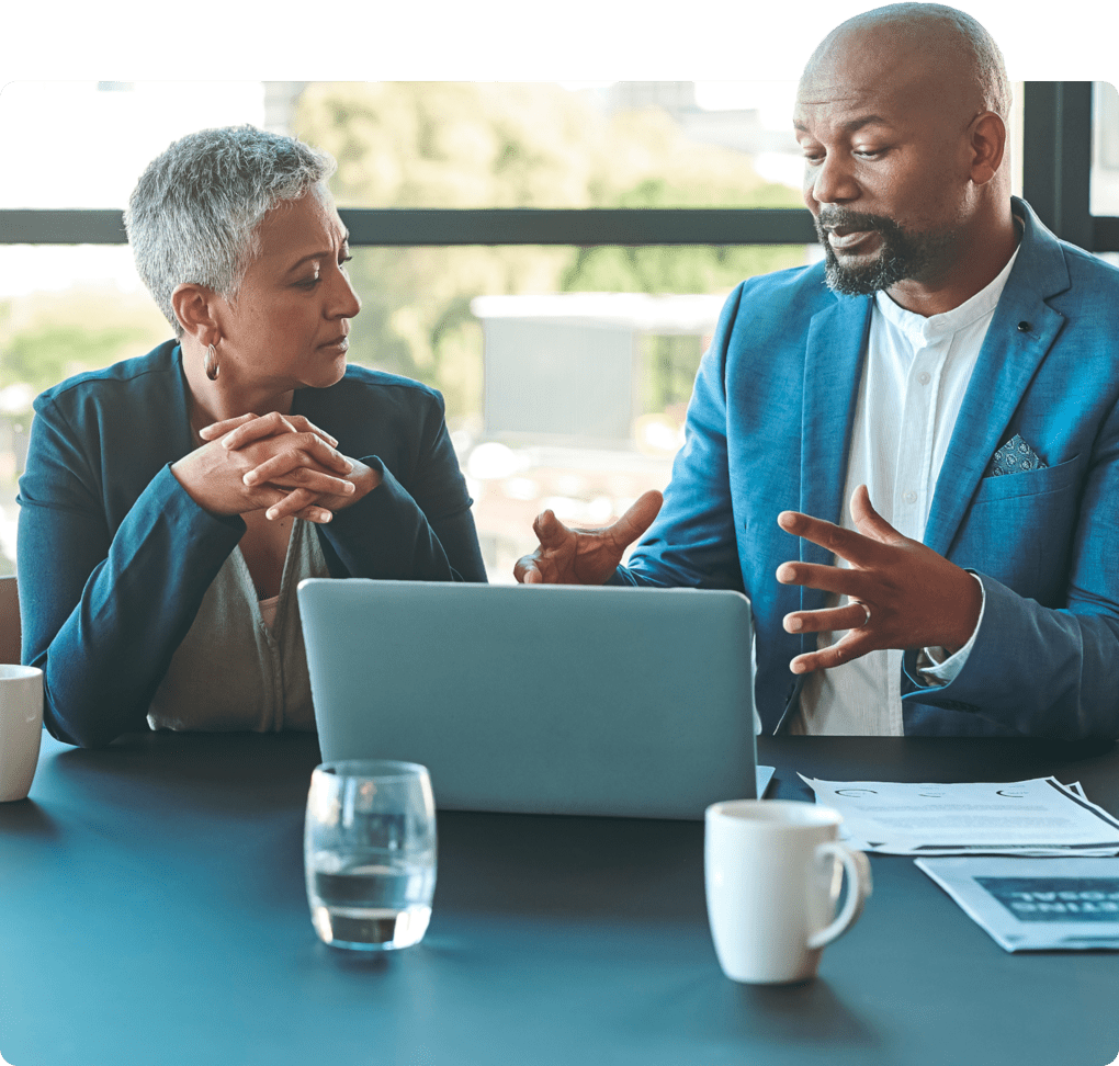 Travel Program  Technology Consulting